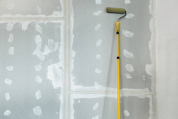 Mold Remediation for Rental Properties in Olmos Park, TX